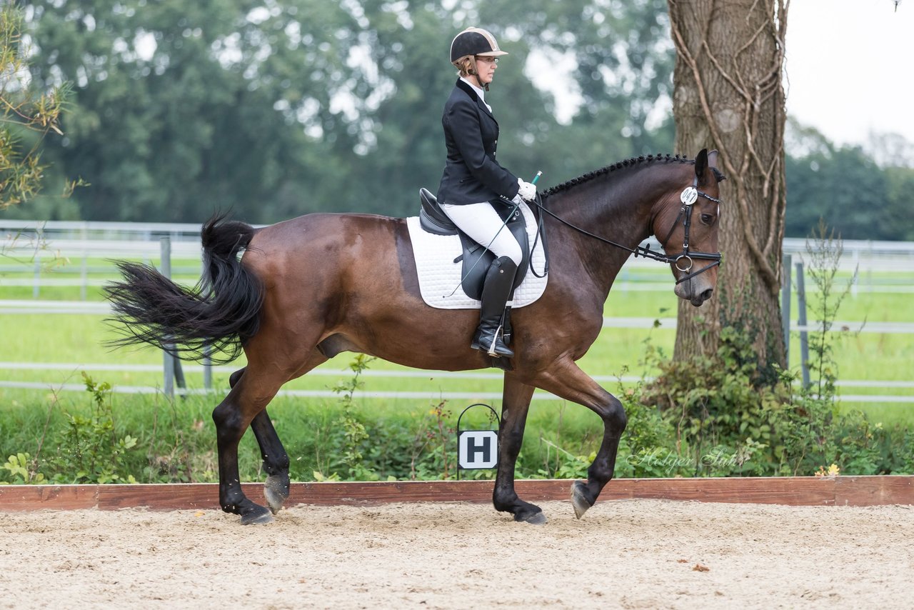 Bild 659 - Fuchshof Turnier